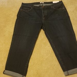 Loft size 16 Boyfriend Crop jeans